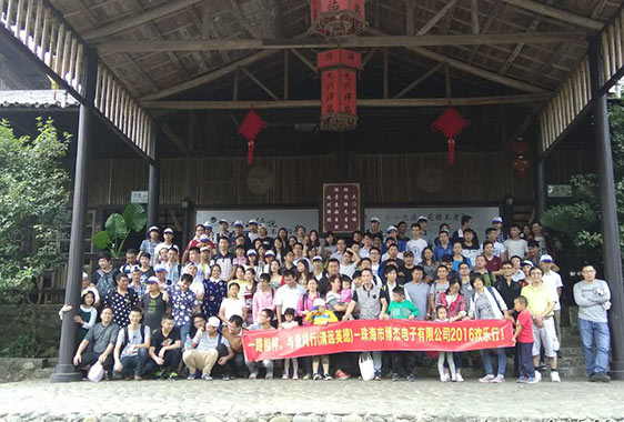 2016年國內(nèi)游